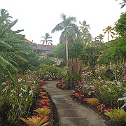 IMG_1320.JPG