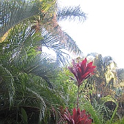 IMG_1347.JPG