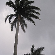IMG_1349