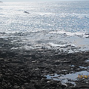 IMG_1359