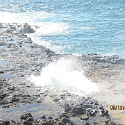 IMG_1361