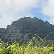 IMG_1423