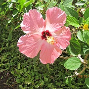 IMG_1432