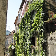 IMG_2771