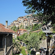 IMG_2846