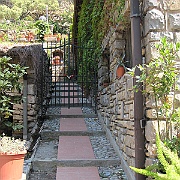IMG_2888