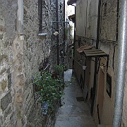 IMG_1290