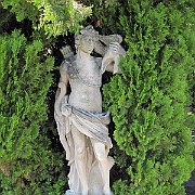 IMG_2931