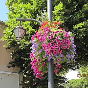 IMG_2956