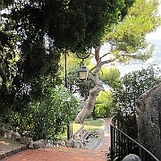 IMG_3123