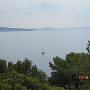 IMG_3337