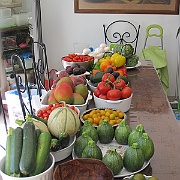 IMG_3385