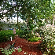 P1010396