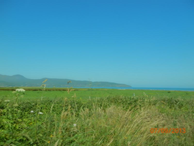 DSCN0367