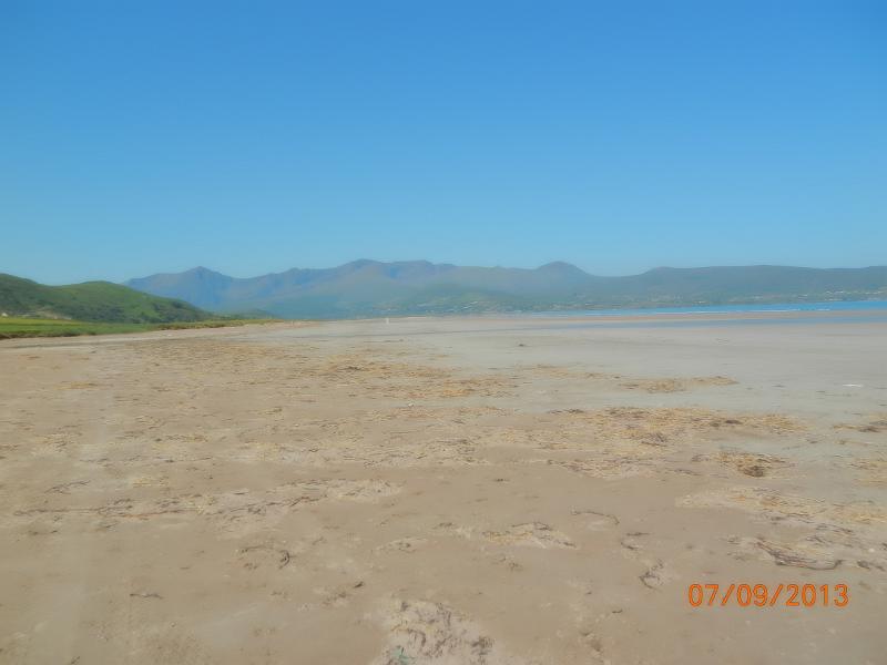 DSCN0375
