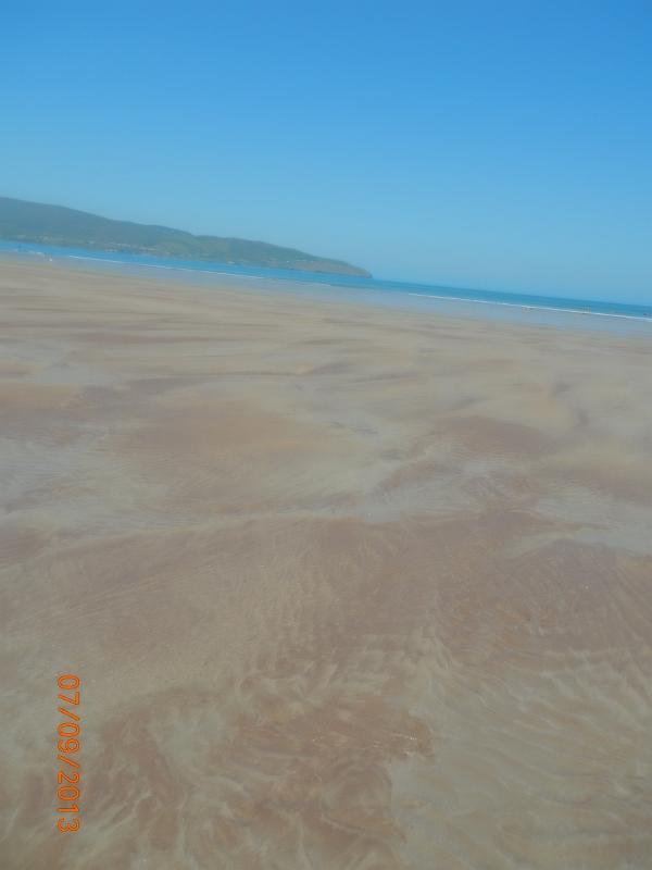 DSCN0398