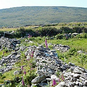 DSCN0488