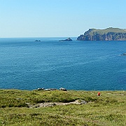 DSCN0503