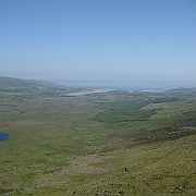 IMG_1980