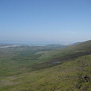 IMG_1981