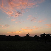 IMG_2024