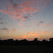 IMG_2026