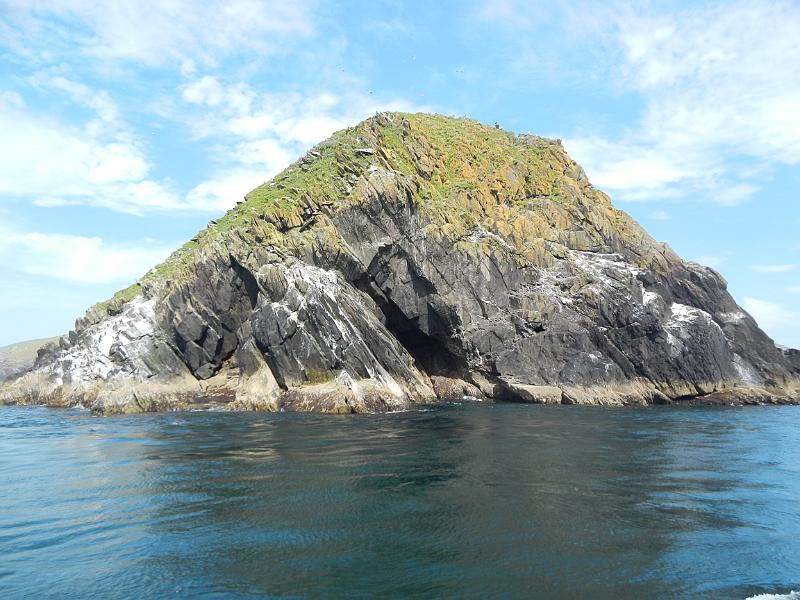DSCN0594