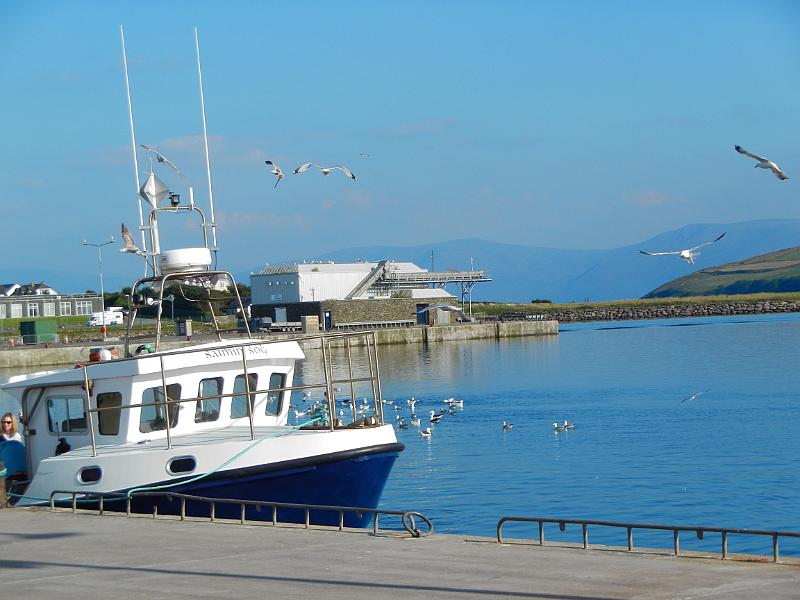 DSCN0634