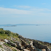 DSCN0539