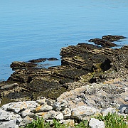 DSCN0549
