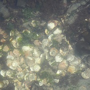 DSCN0556