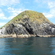 DSCN0594