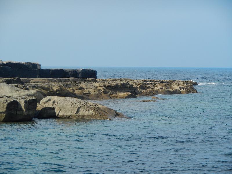 DSCN0737