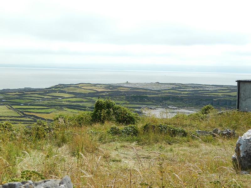 DSCN0771