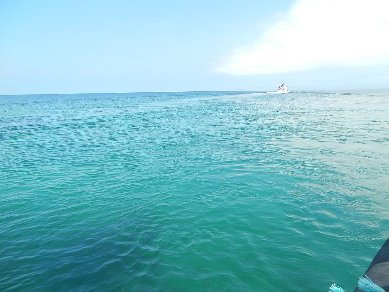 DSCN0799