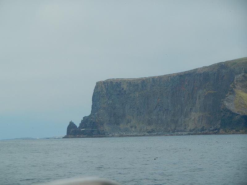 DSCN0801