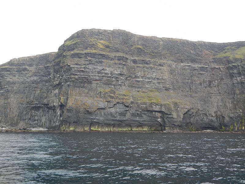 DSCN0806