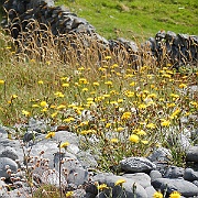 DSCN0794