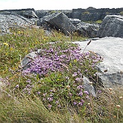 DSCN0795