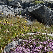 DSCN0796