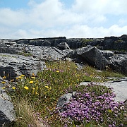 DSCN0797