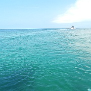 DSCN0799