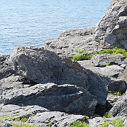 DSCN0837