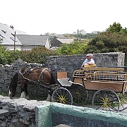 IMG_2202