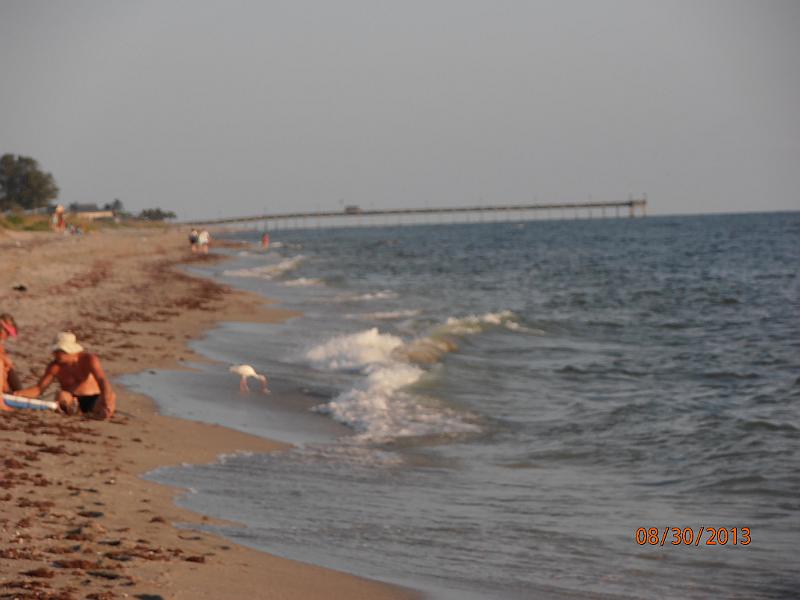 P8300010