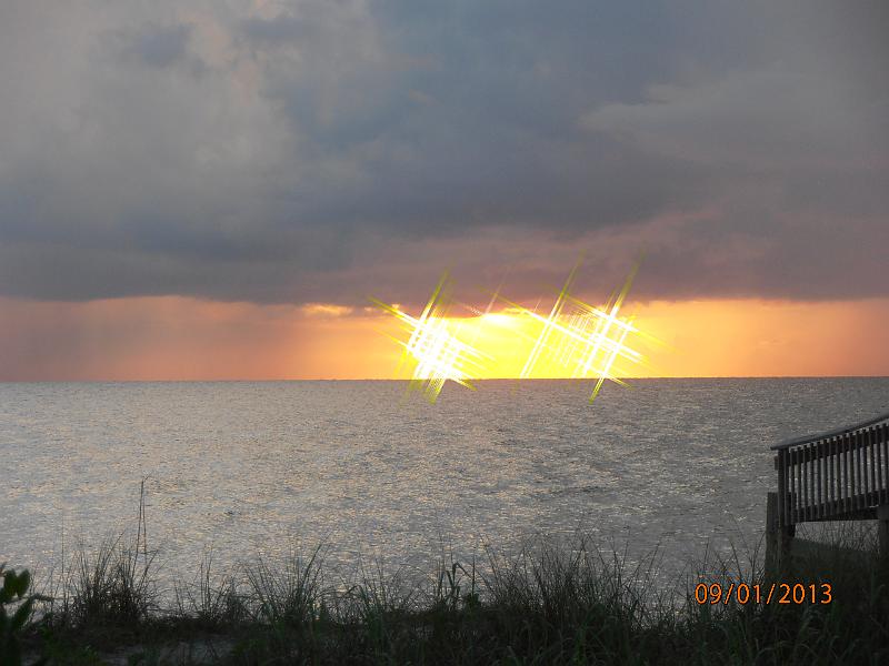 P9010078