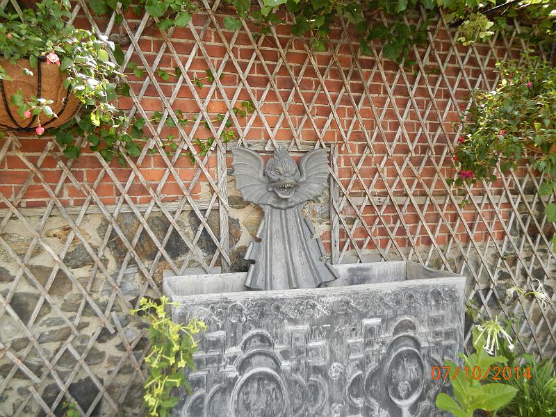 DSCN1822