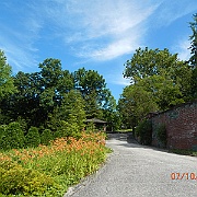 DSCN1774