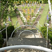 DSCN1781