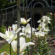 DSCN1785